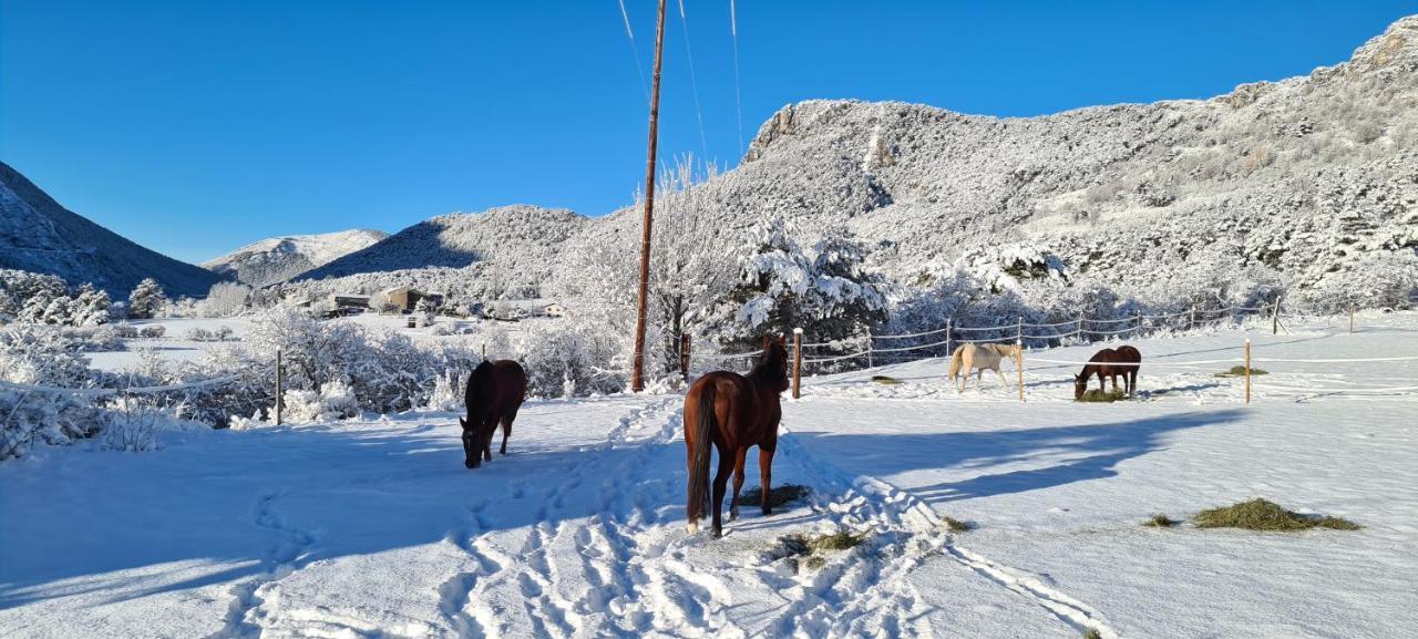 Haras De Seranon Villa Kültér fotó